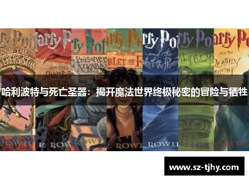 哈利波特与死亡圣器：揭开魔法世界终极秘密的冒险与牺牲